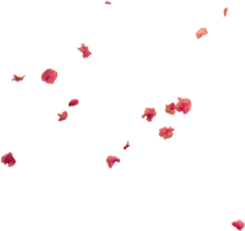 Falling Flower PNG
