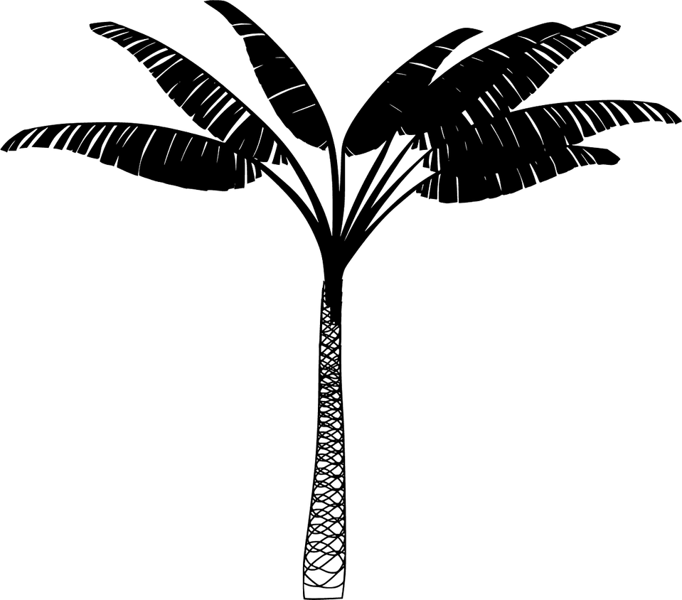 Palm Tree Black PNG