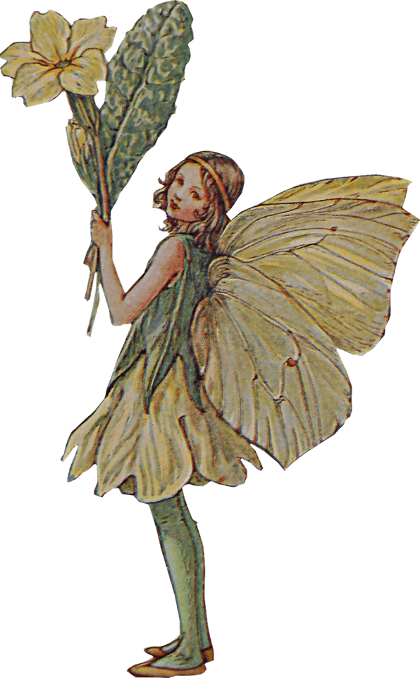 Fairycore Aesthetics Theme PNG