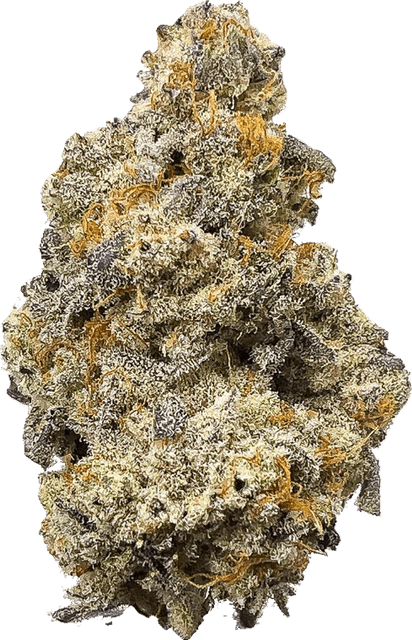 Alien Tree PNG