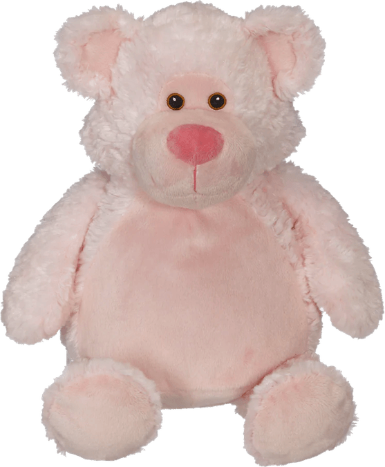 Bear Baby PNG