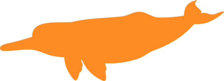 Amazon River Dolphin PNG