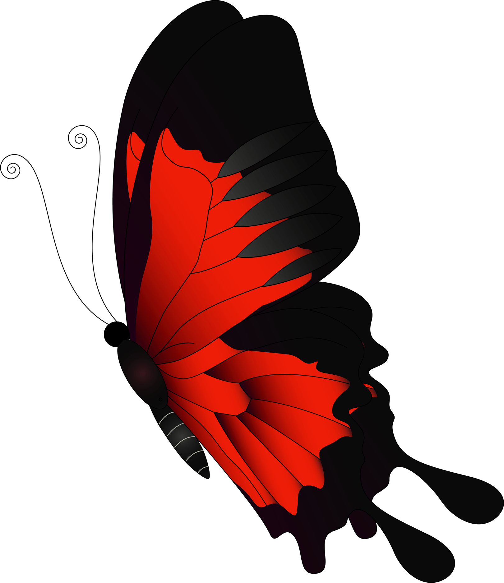 Red Butterfly PNG