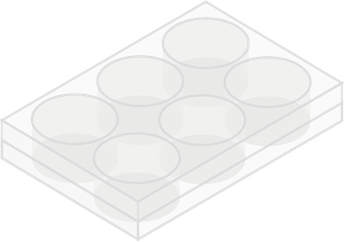 6 Well Plate PNG