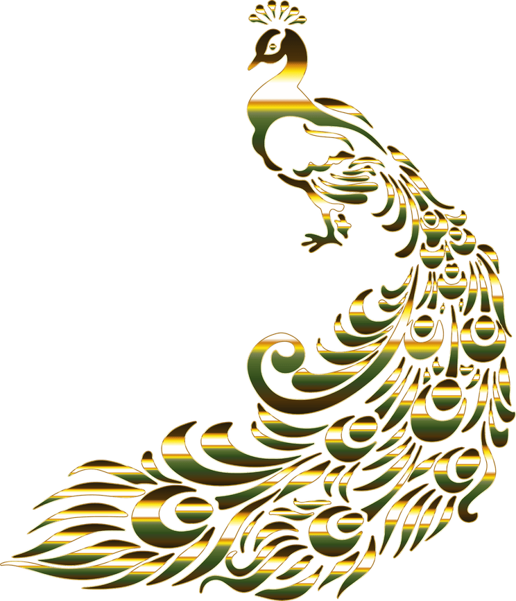 Peacock Logo PNG