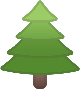Evergreen Tree PNG
