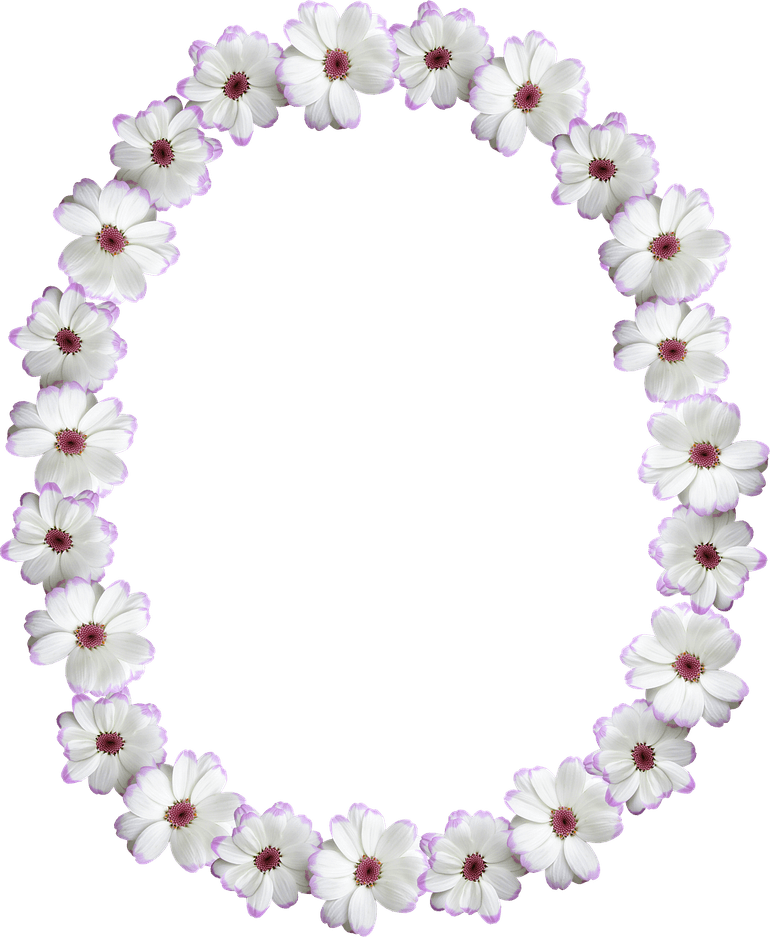 Oval Border PNG