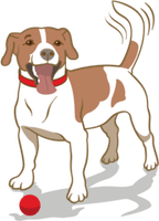 Happy Dog PNG