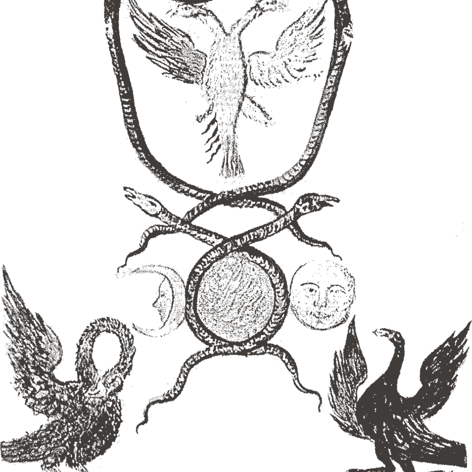 Truth Fma PNG