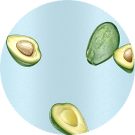 Aesthetic Avocado PNG