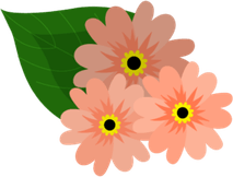 Spring Flower PNG