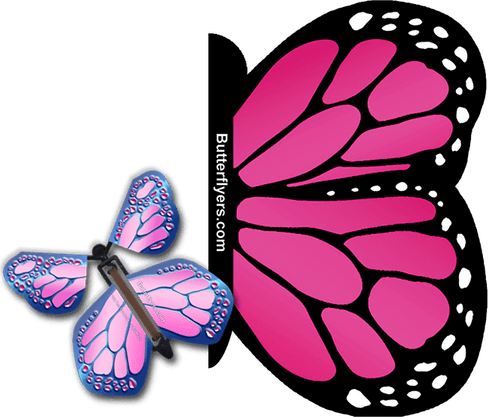 Flying Butterfly PNG