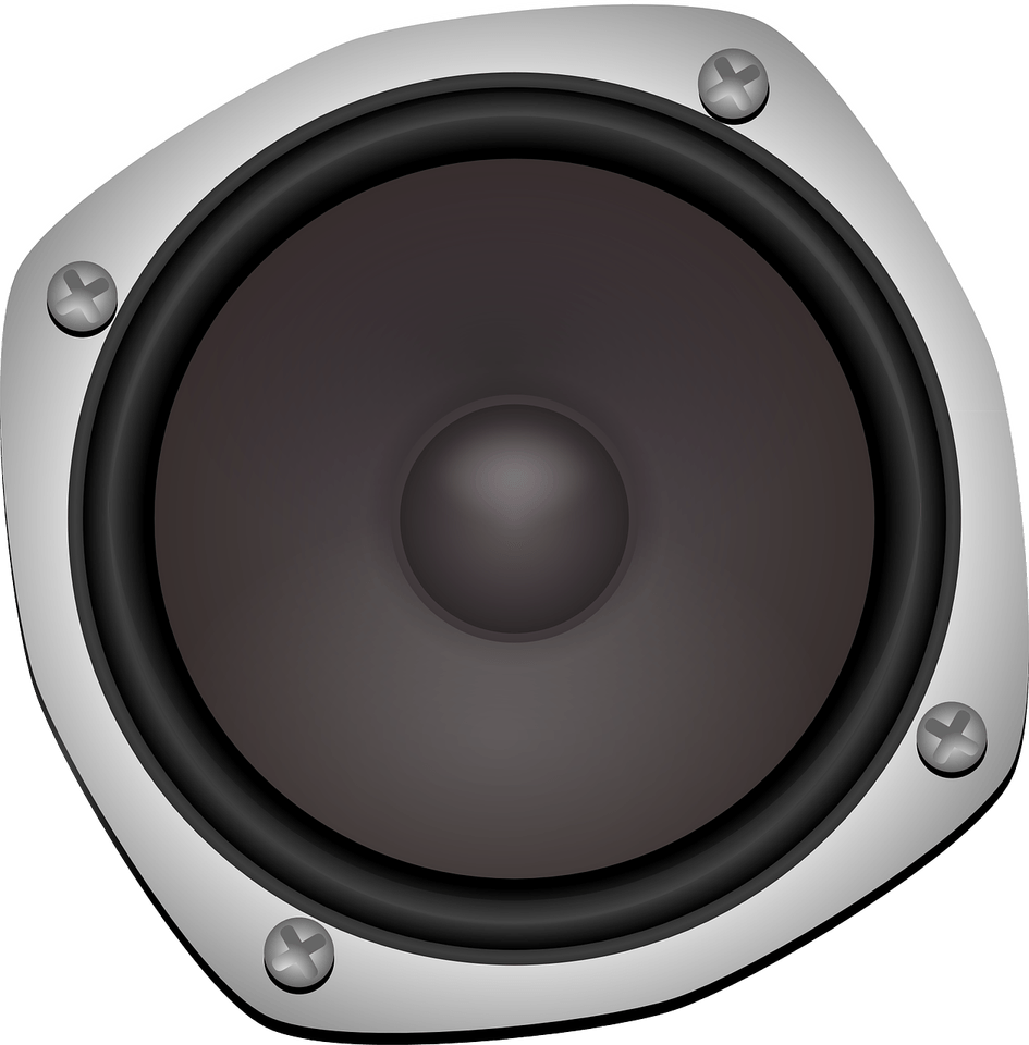 Bass PNG