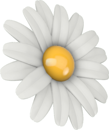 April Birth Flower PNG