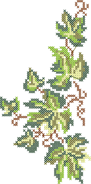 Border Leaves PNG