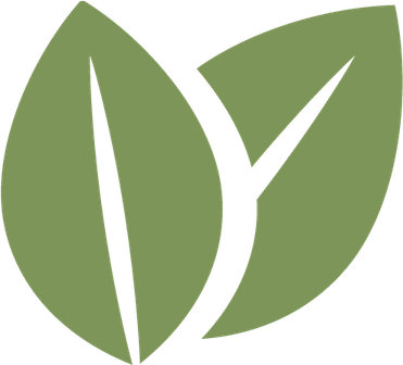Leaf Icon PNG