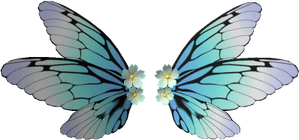 Realistic Fairy Wings PNG