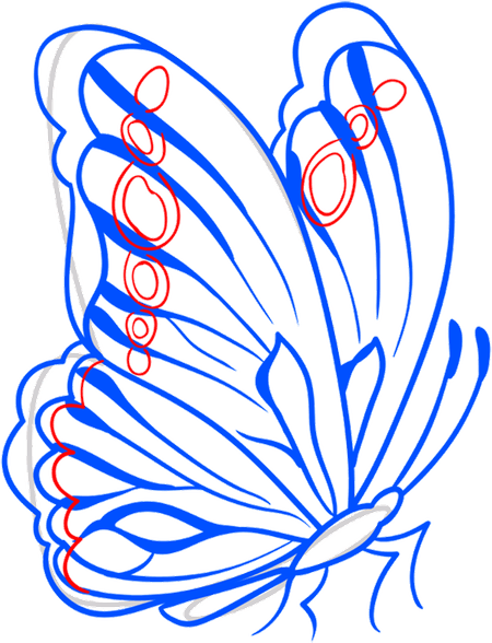 Drawn Butterfly PNG