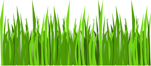 Moving Grass PNG