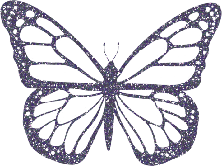 Butterfly Silver PNG