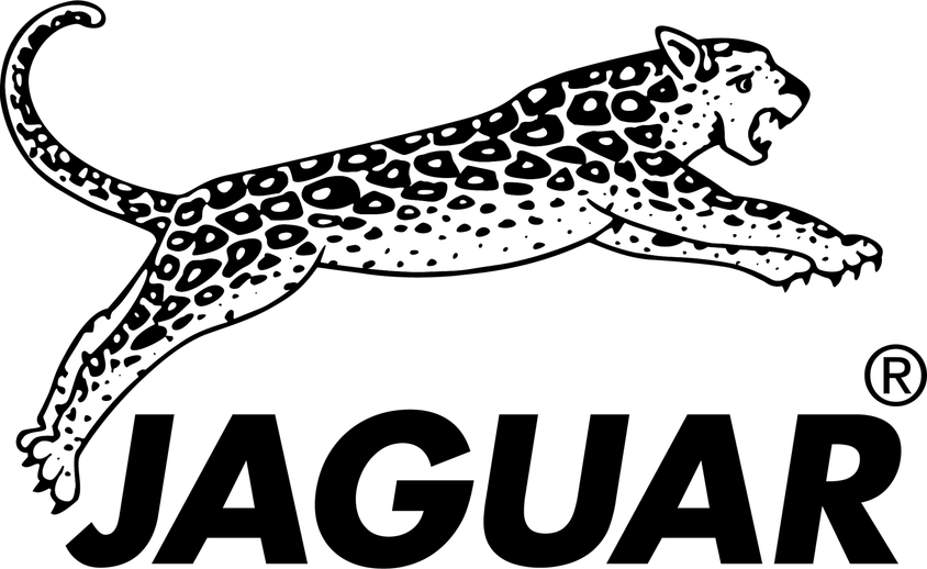 Jaguar Logo PNG
