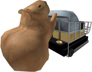 Capybara PNG