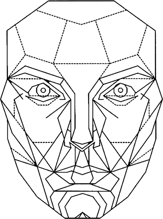 Perfect Face Template PNG