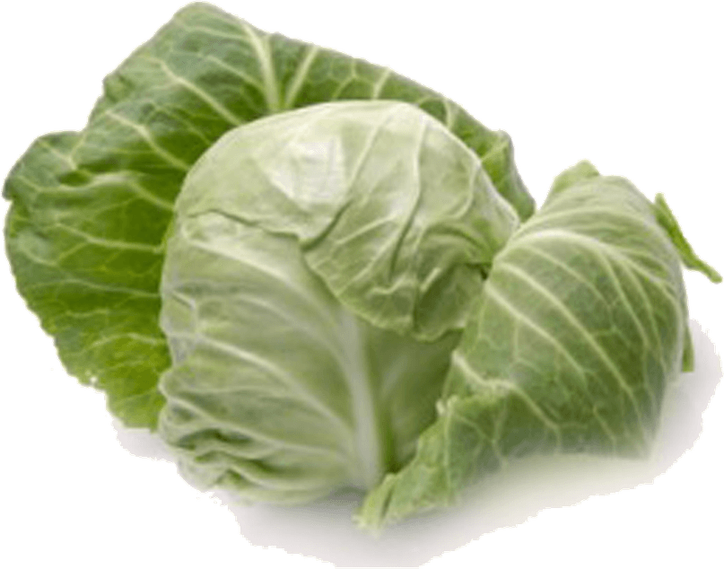 Cabbage PNG