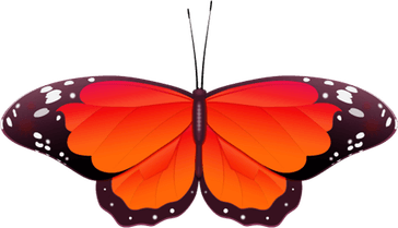 Orange Butterfly PNG