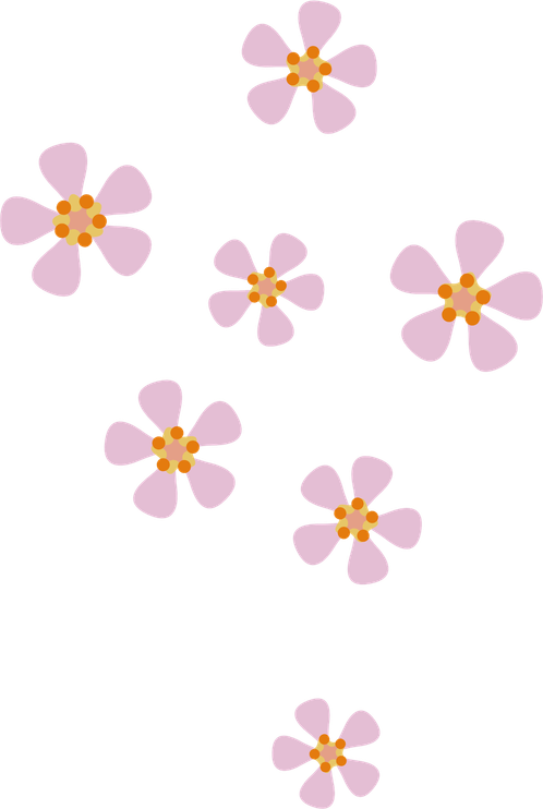 Peach Flower PNG
