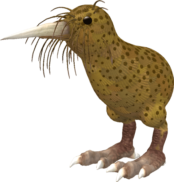 Kiwi Bird PNG