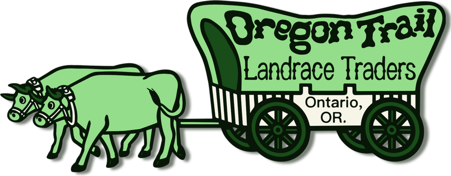 The Oregon Trail PNG