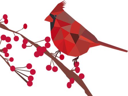 Cardinal Bird PNG