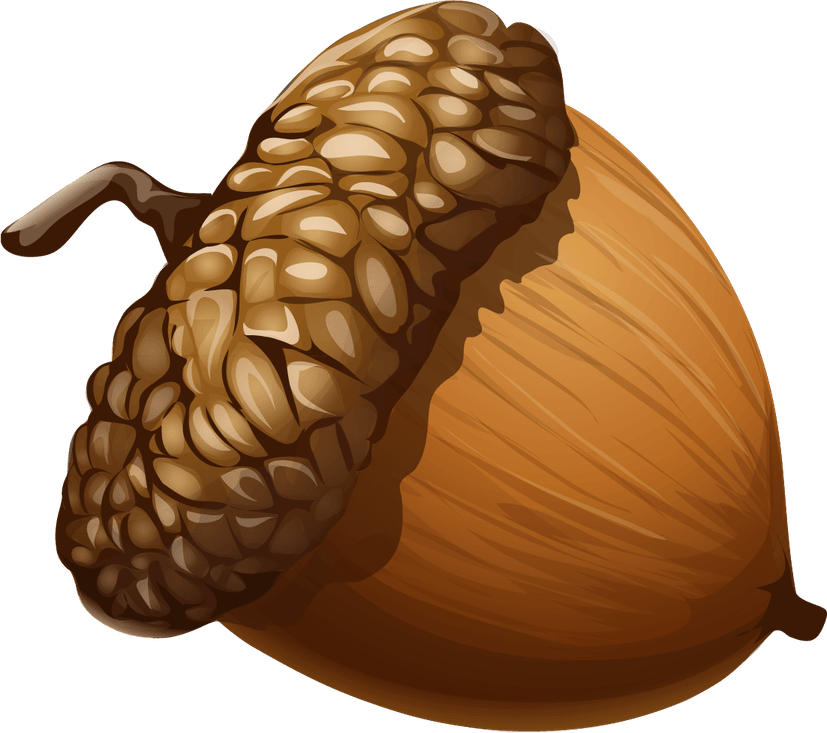 Acorn PNG