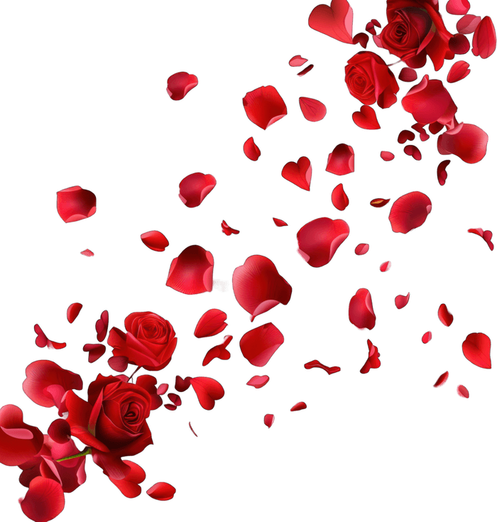Falling Rose PNG