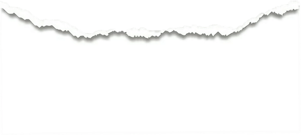 Page Rip PNG