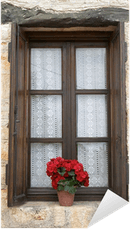 Window Flower PNG