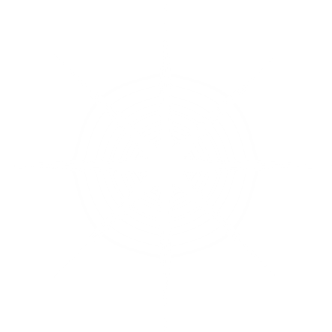 White Star PNG