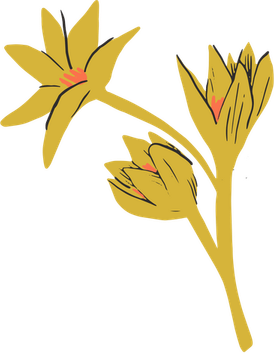 Dark Flower PNG