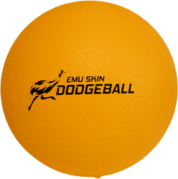 Dodgeball PNG