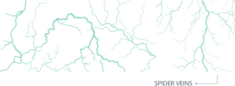 Veins PNG