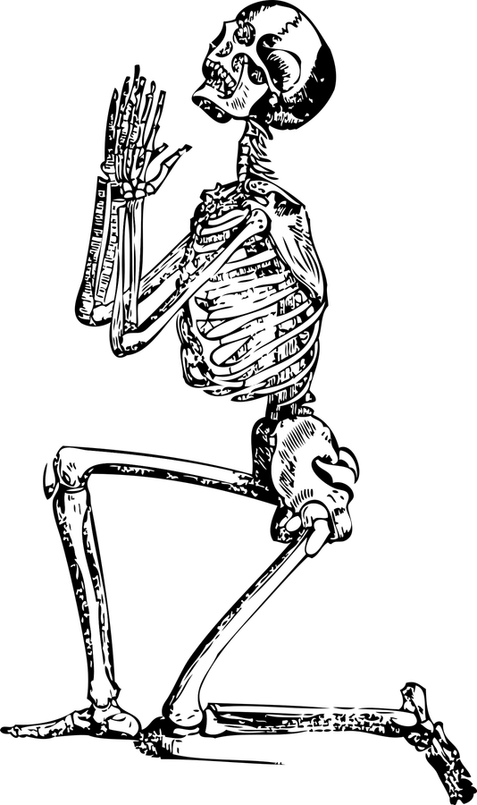 Skeleton Cartoon PNG