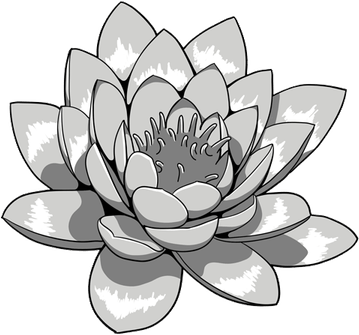 Lotus Tattoos PNG