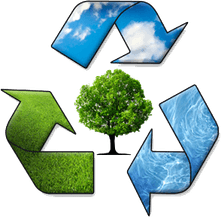 Environment PNG