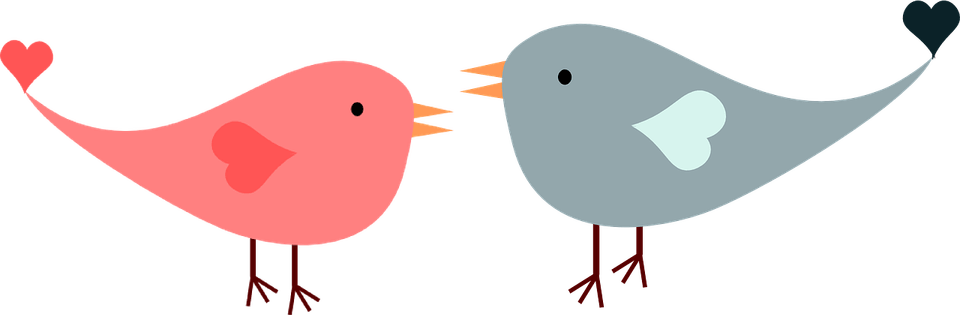 The Lovebirds PNG