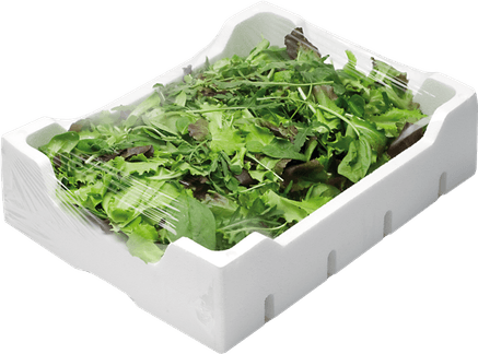 Mustard Greens PNG