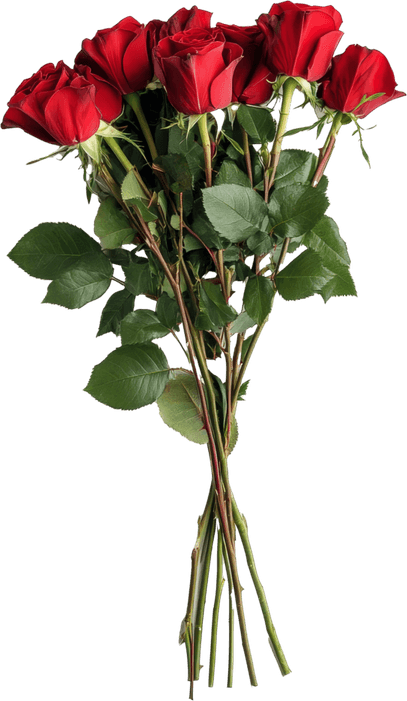 Long Stem Rose PNG