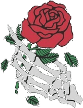 Skeleton Hand Holding Rose PNG