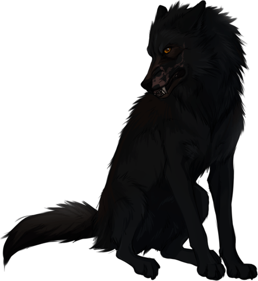 Black Wolf PNG