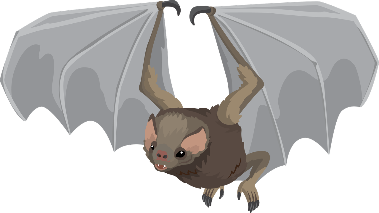 Vampire Bat PNG
